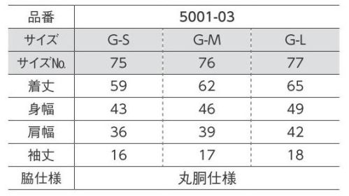 キャブ 5001-03-D 5．6オンス ハイクオリティー Tシャツ（ガールズ） 着心地や素材感にこだわった上質なTシャツを探している人のための一枚。ボックスタイプシルエットでメンズライクに。トレンドを取り入れたボックスタイプの5001-03は、かっこよく着こなしたいメンズライクな1着。余裕を持たせた身幅や袖口のシルエットにも、旬を盛り込んでいます。※他カラーは「5001-03-001」「5001-03-A」「5001-03-B」「5001-03-C」「5001-03-E」「5001-03-F」に掲載しております。※「G-Sサイズ」は販売を終了致しました。※「498 カリフォルニアオレンジ」は、販売を終了致しました。※この商品はご注文後のキャンセル、返品及び交換は出来ませんのでご注意ください。※なお、この商品のお支払方法は、前払いにて承り、ご入金確認後の手配となります。 サイズ／スペック